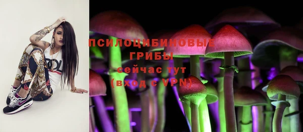 прущая мука Остров