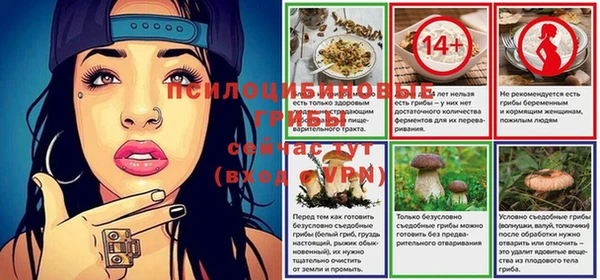 экстази Переславль-Залесский