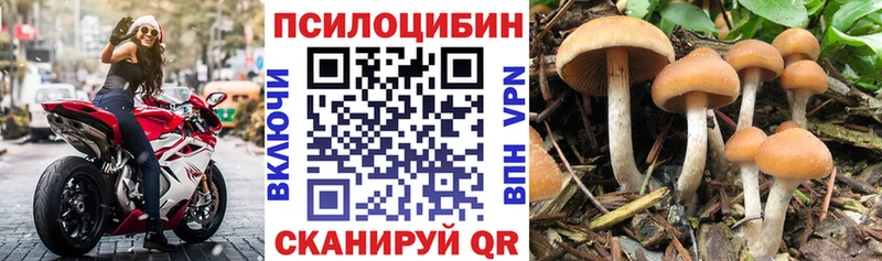 Псилоцибиновые грибы Cubensis  хочу наркоту  ОМГ ОМГ ссылки  Саров 